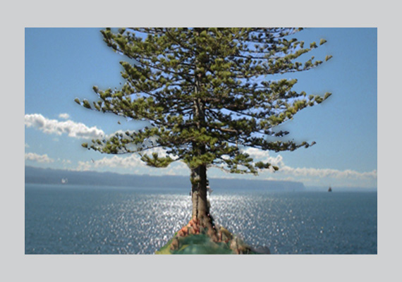 Website & Marketing Logo.